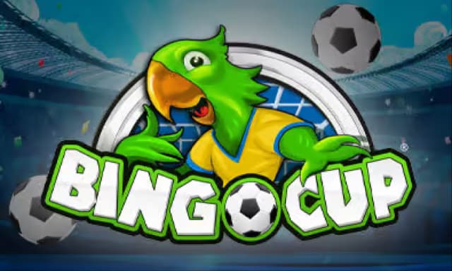 bingoCup